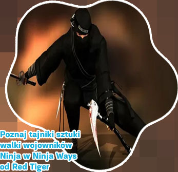 Gry kasyno ninja